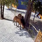 Chalet Luna In Rio Chale Lua Ponte da Barca