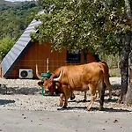 Chalet Luna In Rio Chale Lua