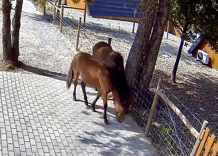 Chalet Luna In Rio A-frame Romantica No Geres Com Vista Rio Ponte da Barca