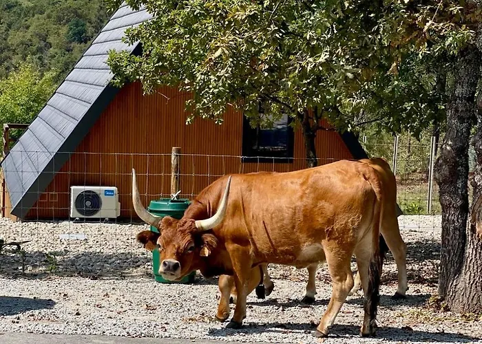 Chalet Luna In Rio A-frame Romantica No Geres Com Vista Rio